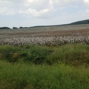 Meet your Posher, Joyce